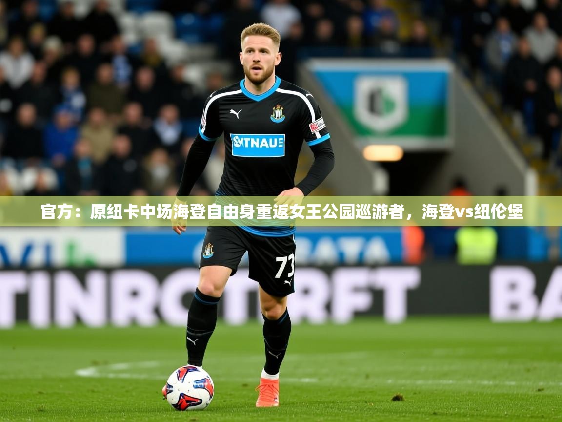 2025爱游戏体育在线app官方:原纽卡中场海登自由身重返女王公园巡游者,海登vs纽伦堡 第2张